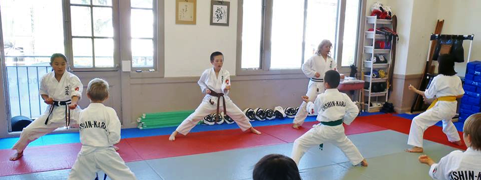 Enshin Karate SF